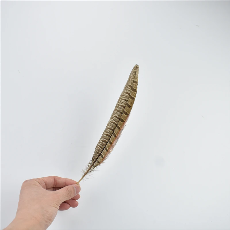 10 قطعة/الوحدة ريش ذيل الدراج الطبيعي للحرف اليدوية كرنفال اكسسوارات حفل زفاف عطلة الديكور أعمدة طويلة غطاء الرأس