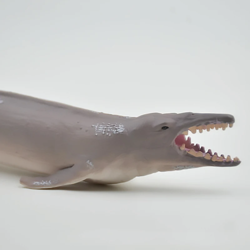 CollectA Basilosaurus Dinosaur Animal Toy Model 88797: تقييم شامل ومفصل لنموذج ديناصور باليوسورس المذهل