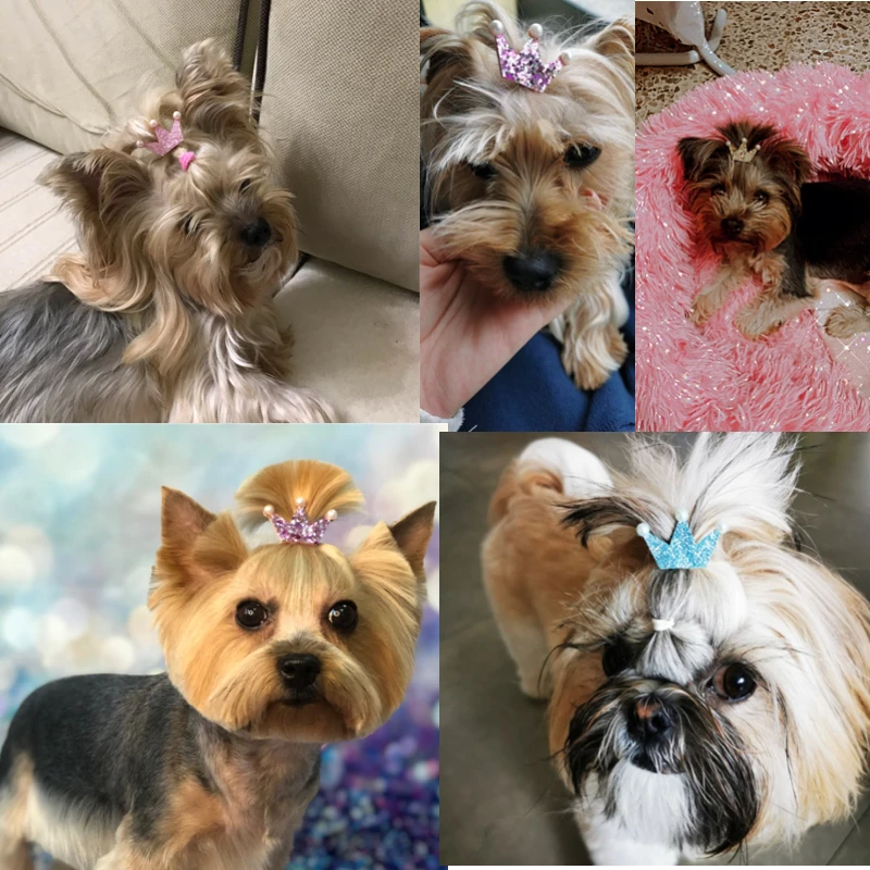 Crown Shape Dog Bows Hair Accessories Glittering Gold Bows with Rubber Band for Long Hair Pets Accesorios Para Perros