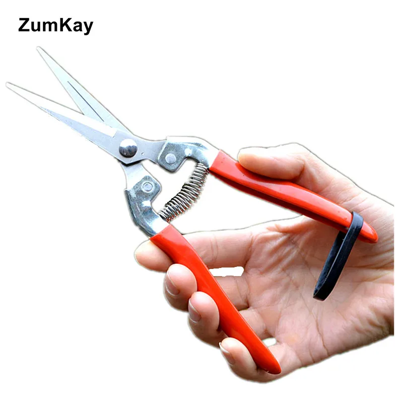 

Grape Picking Fruit Thinning Scissors Cut Thin Shear Shear Thinning Hand Picking Long Mouth Bonsai Pruning Shears