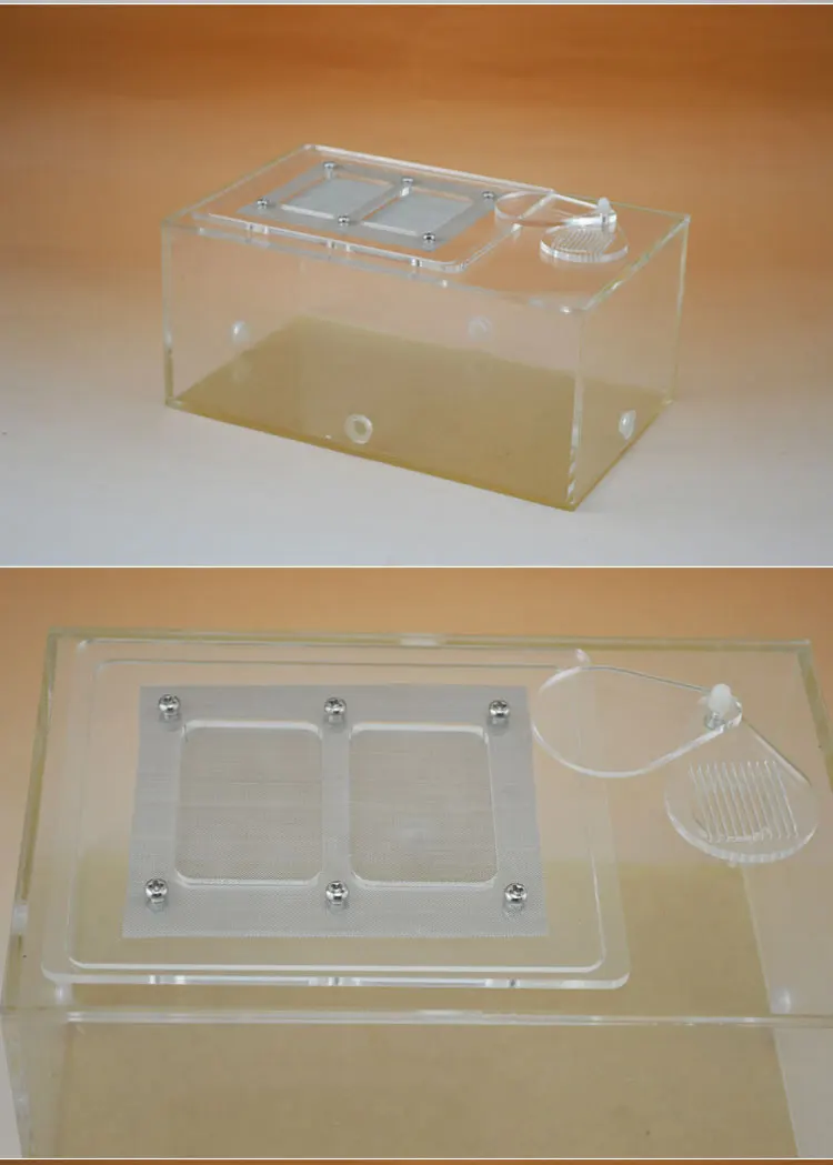 Acrylic tank feeding box Reptile breeding box Insect box Spider and scorpion breeding box Pet insect supplies Insect box