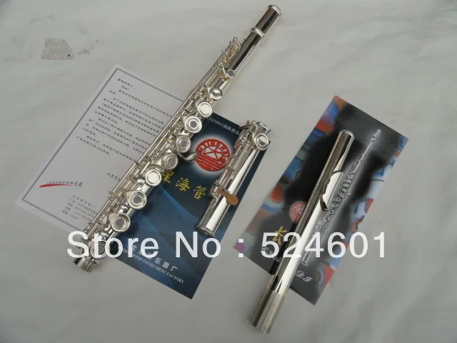 Hot Xinghai Professional Students Series 16 Holes Plus E Key Split Obturator Silver-plated Flute Instrument  With Case