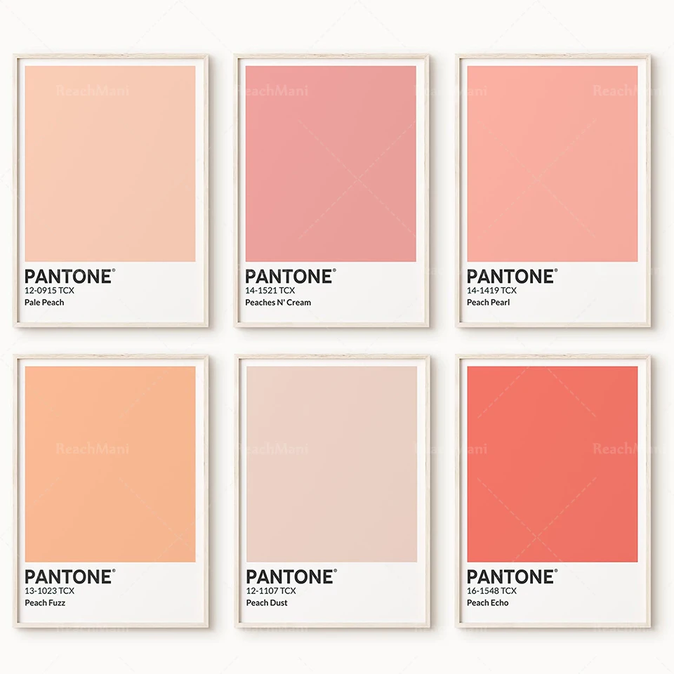 A set of 6 Pantone Peach Color Paint, Pearl Powder, Makeup, Peach Cream, Dust, Light Color Crayon Print Poster Nude Color