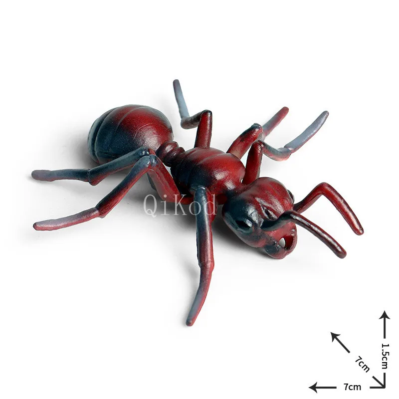 Worker Ant Animals Simulation Nest Growth Cycle Life Action Figures Figurine Miniature Baby Educational Cute Model Teaching Kids