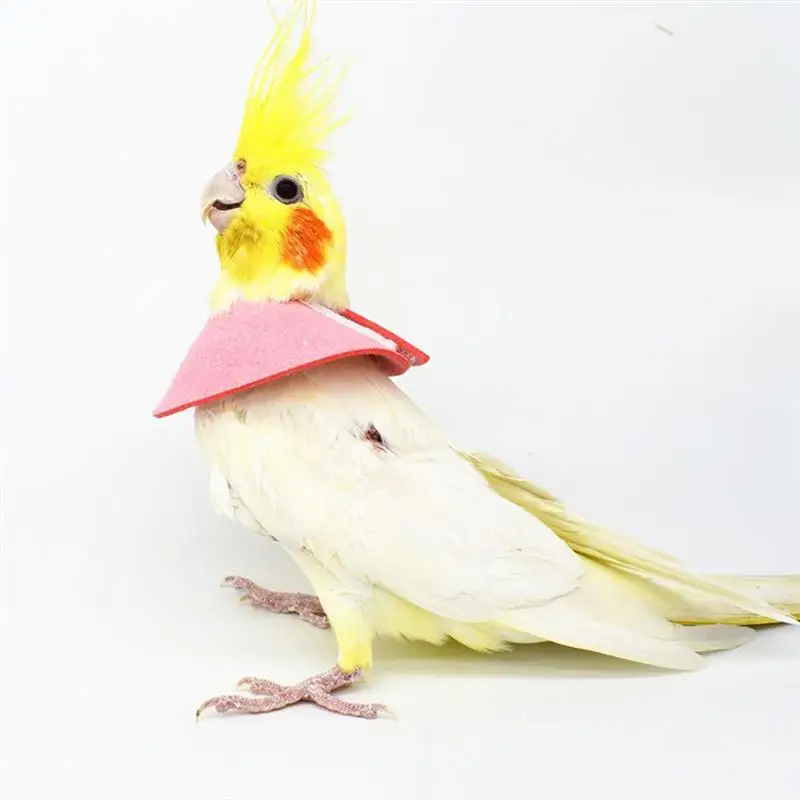 4Pcs Adjustable Pet Protective Collar For Parrot Recovery Neck Cover Bird Grooming Accessories Bird Recovery Collar For Wound - Image 2