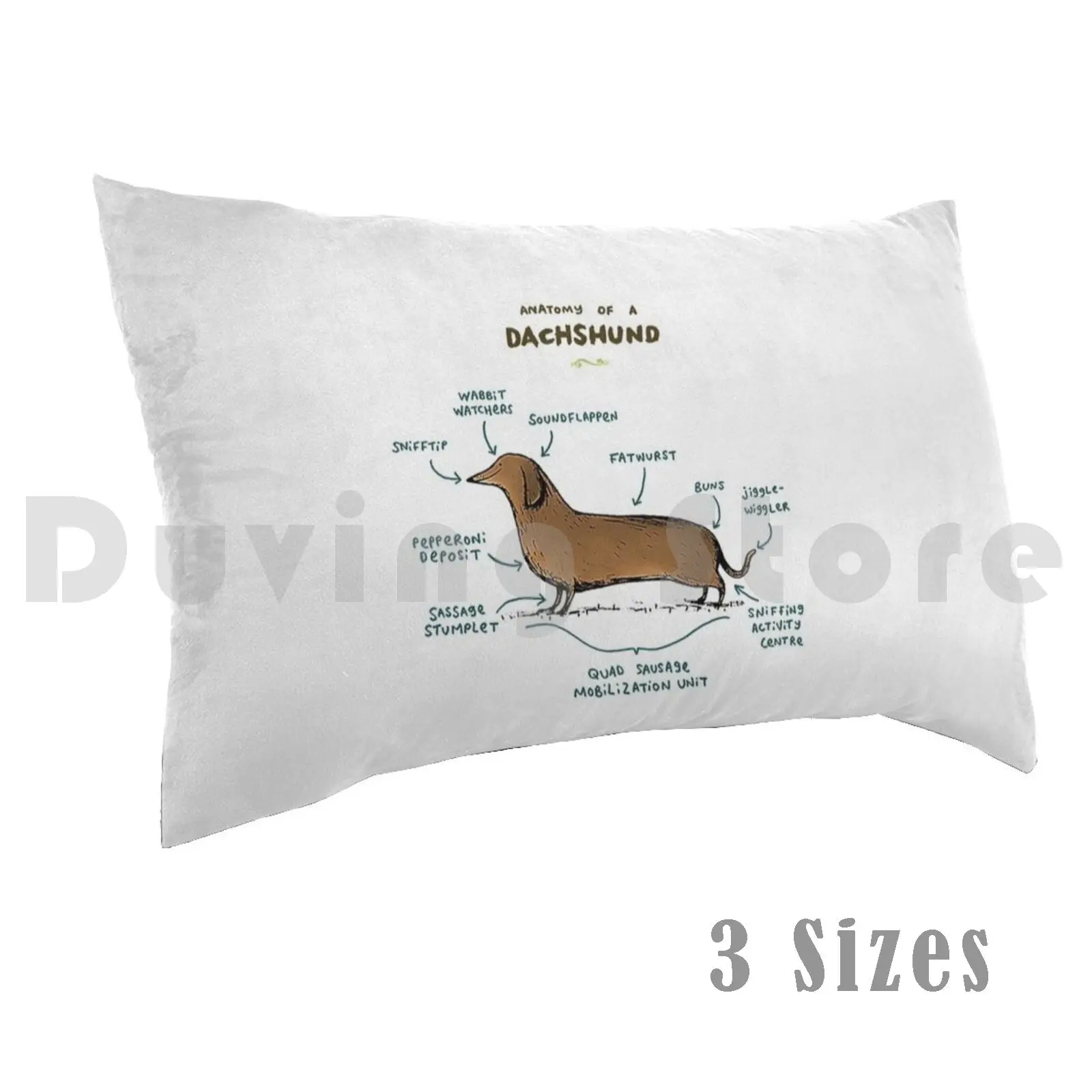 Anatomy Of A DachshundPillow case Dachshund Dachshund Dog Dachshund Dachshund Dog Dogs Dachshund