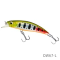 DW67-L