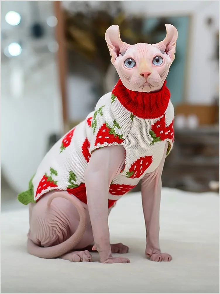 Pet Clothes Cat Sweater Strawberry Patten Hoodie Winter Hairless Cat Clothes Kitten Suit Warm Cute Sweater