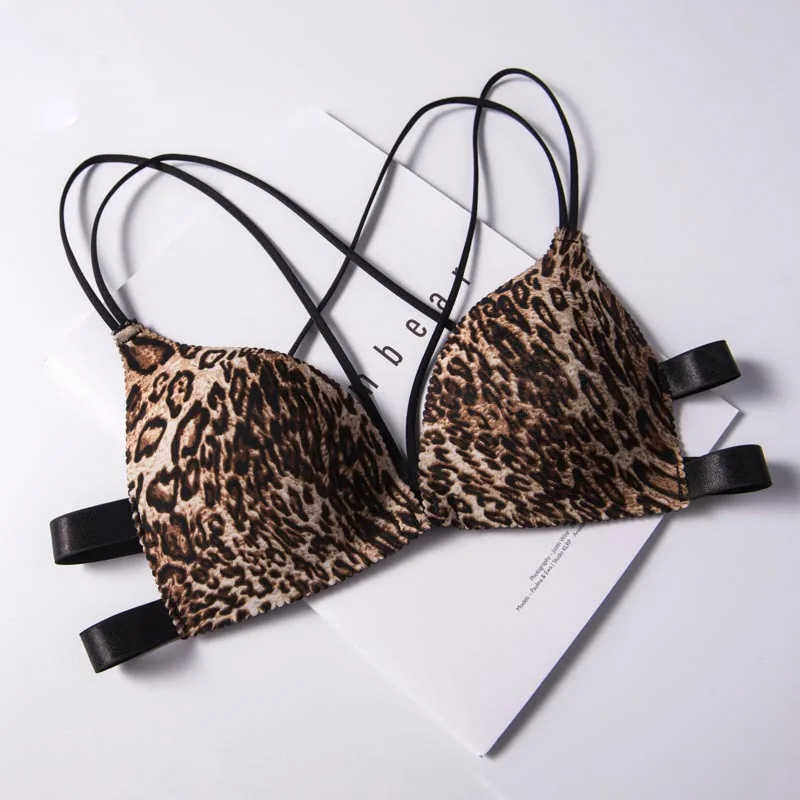 European Style Bra Briefs Set Fashion Leopard Pattern Push Up Brassiere Women\'s Comfort Underwear Sexy Small Bra Female Lingerie