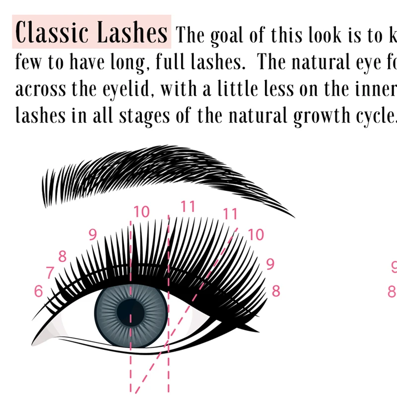 Eyelash Extension Forms Mapping Guides Poster Canvas Prints Lash Technician Gifts Beauty Salon Wall Art Pictures Painting Decor