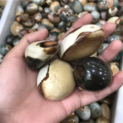 1Pc Natural Madagascar Marine Agate Quartz Crystal Freeform Meditation Chakra Healing Crystals Gem Raw Polished Stone