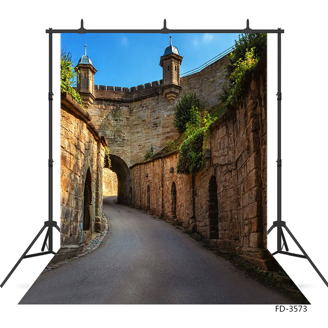 

Old Castles Pathway Photo Backdrops for Photo Studio Vinyl Cloth Backgrounds Photography Props for Children Portrait Photobooth