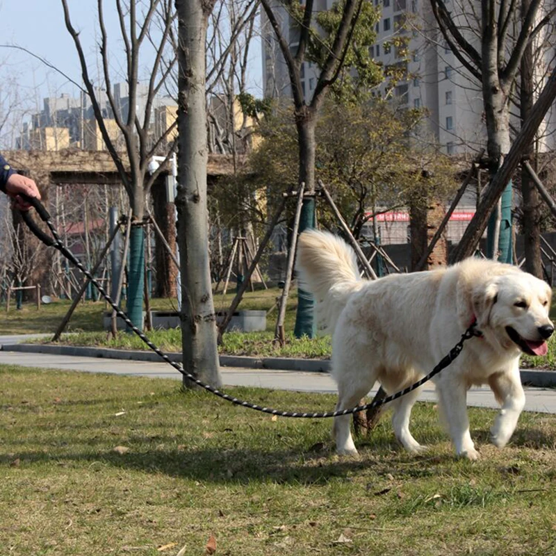 Haustierleinen, reflektierend, mehrfarbig, rundes Seil, großes Hundehalsband, Leine, Training, Laufseil, bequem für mittelgroße und große Hunde – Detail 8