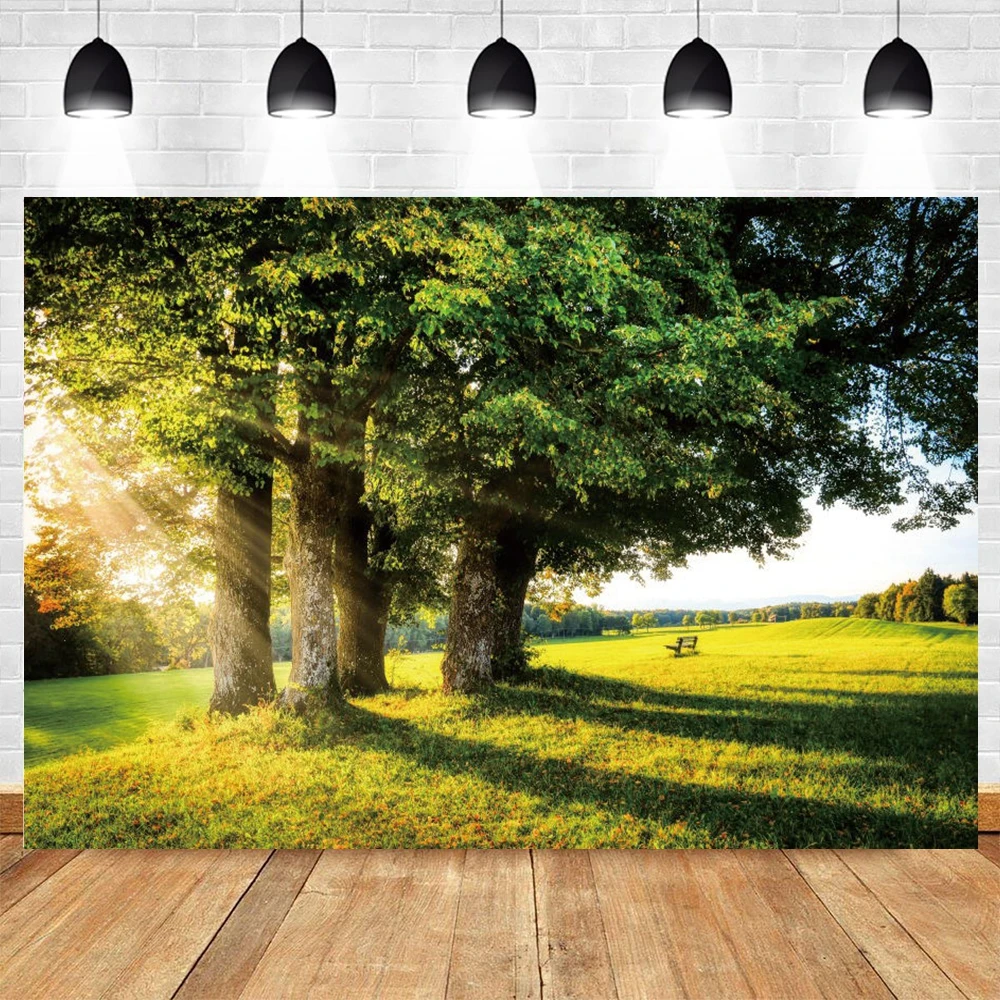 Spring Forest Nature Scenery Sunlight Backdrop Summer Green Grass Park Garden Background Photography For Photo Studio Banners