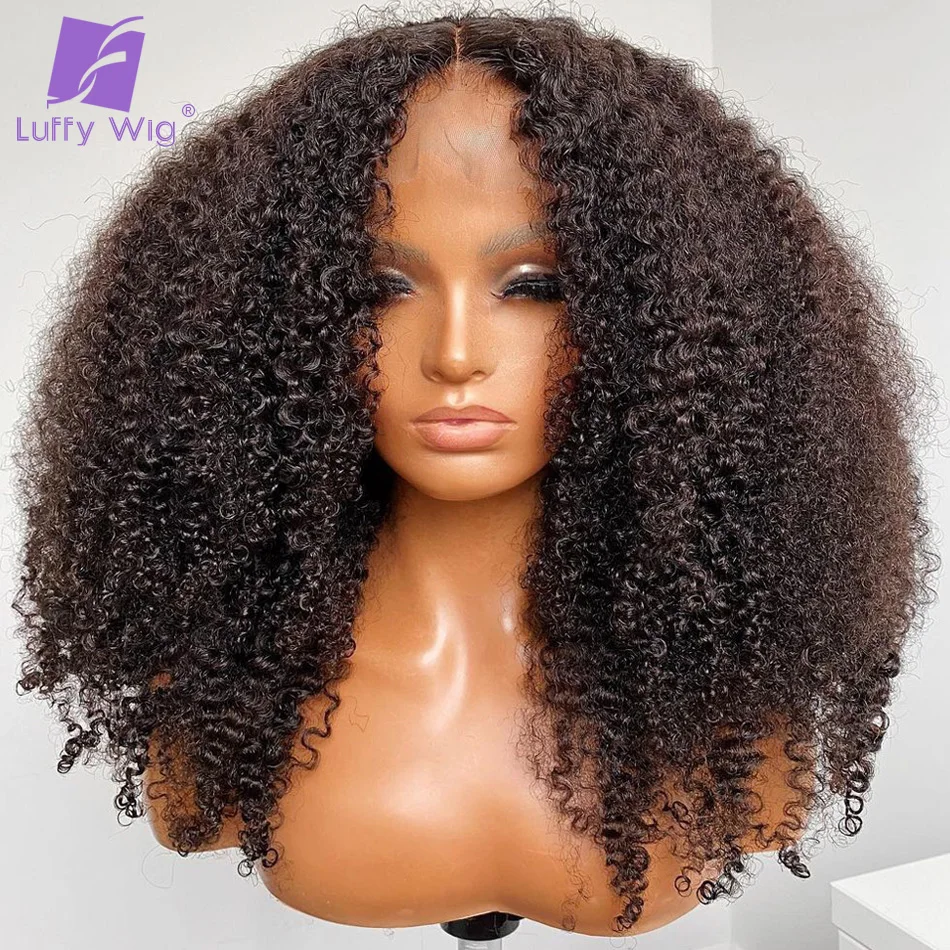 

Afro Kinky Curly Hd Lace Wig Human Hair 13X6 Lace Front Wig Glueless Brazilian Hd Transparent Lace Frontal Wig Pre Plucked 200%