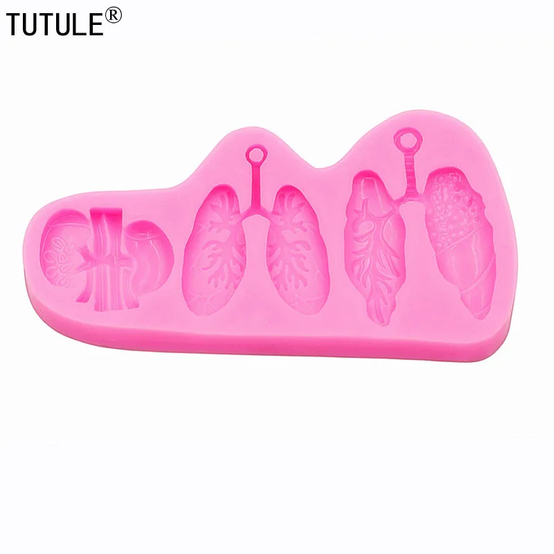 Рисунок 5 - Формы для легких