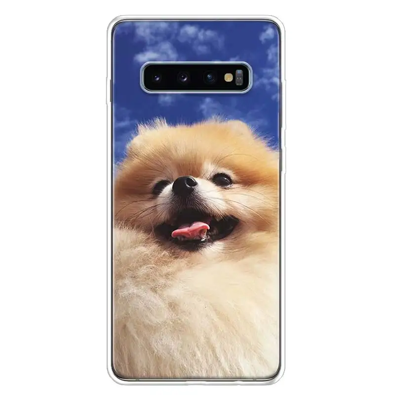 Pomeranian Chó Chó Thiết Kế Ốp Lưng Điện Thoại Samsung Galaxy S22 S21 Cực S10 Plus S20 FE S10E S9 S8 S7 edge J4 + Bìa Mềm Coque