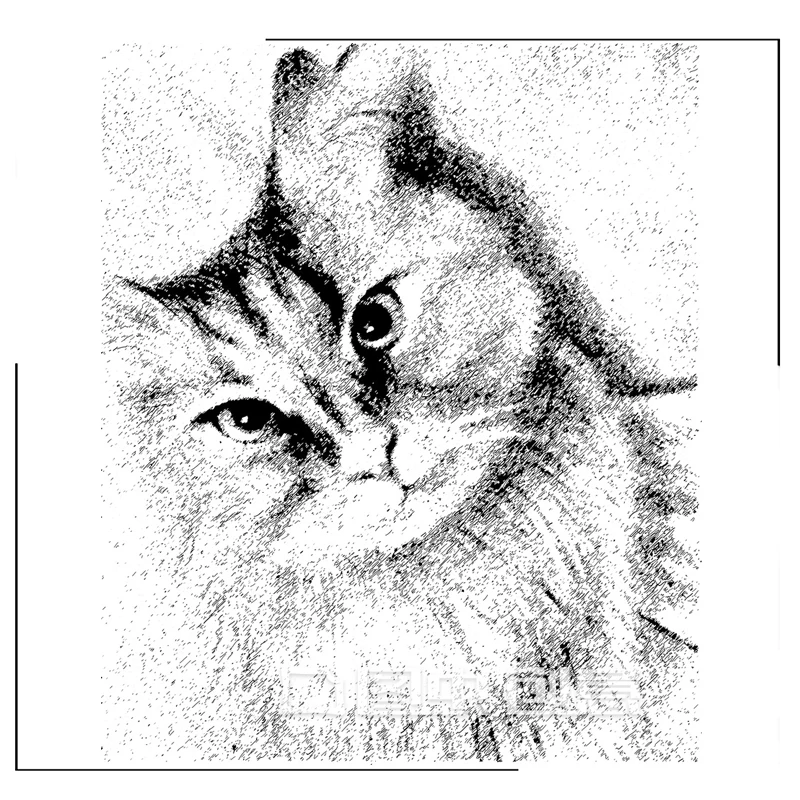 

Cute Cat Avatar Clear Stamps Scrapbooking Crafts Decorate Photo Album Embossing Cards Making Clear Stamps New