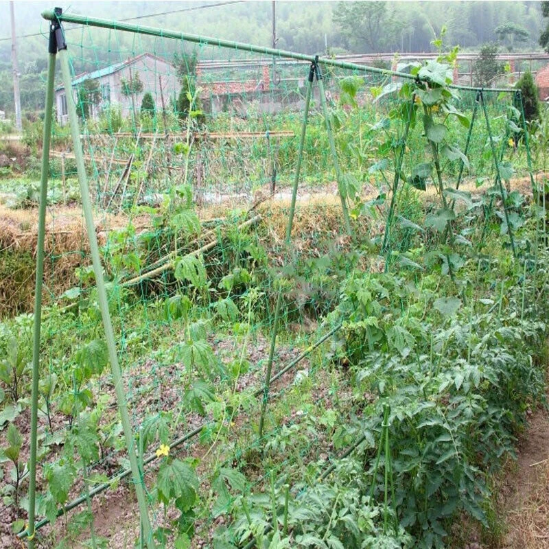 Aksesori Tanaman Jaring Teralis Tanaman untuk Memanjat Tanaman Perlengkapan Berkebun Jaring Teralis Tanaman Merambat Kebun