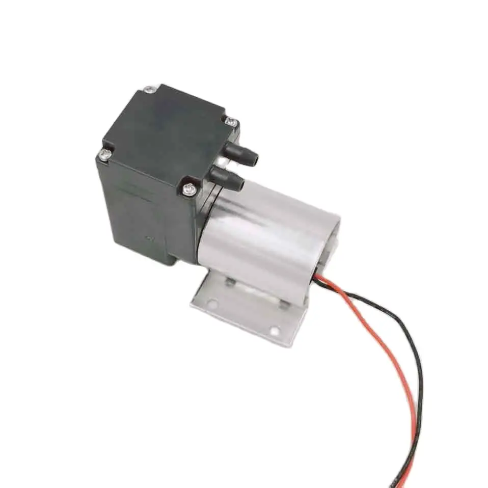 oil free,low power consumption, corrosion resistance 12v brushless dc motor