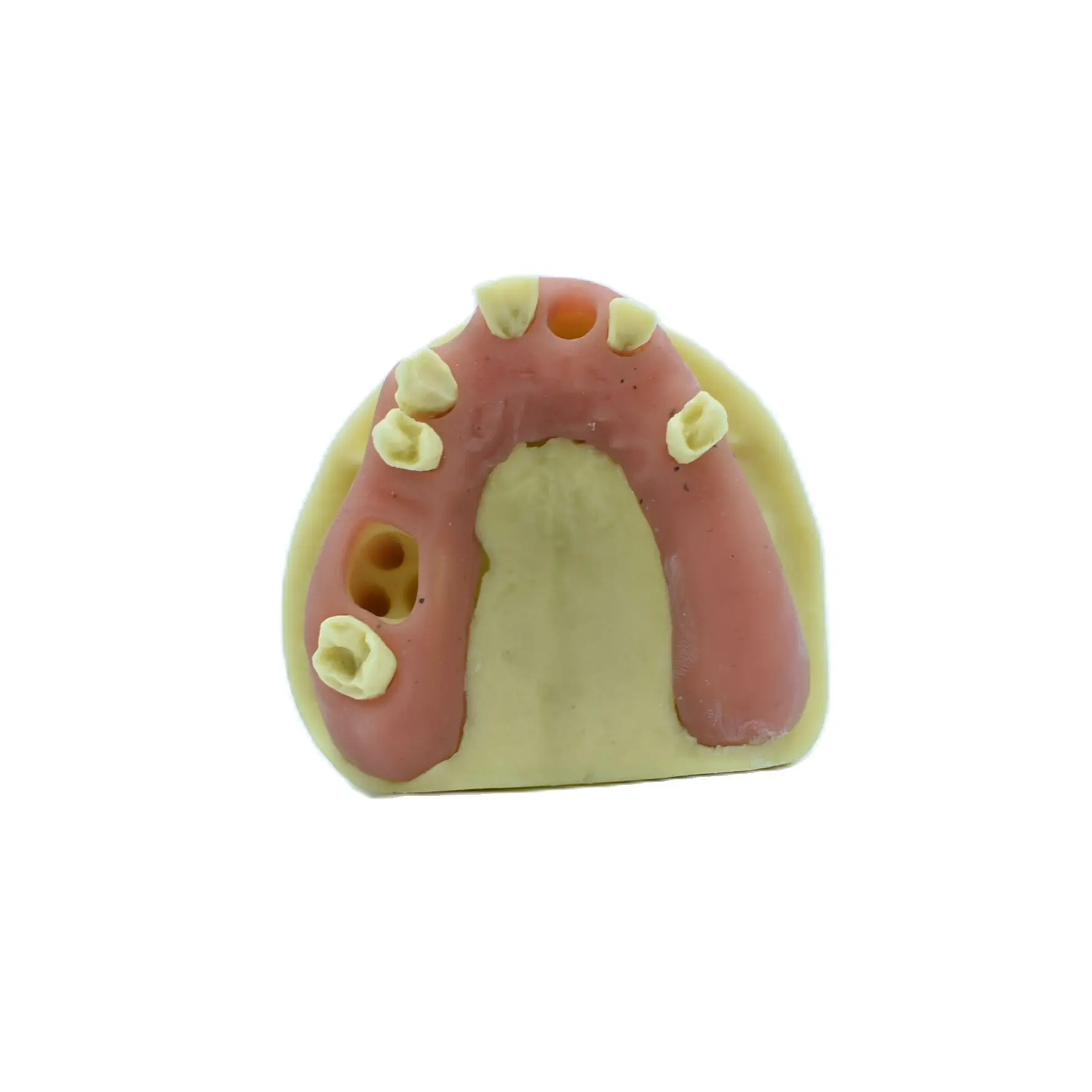 1pc Teeth Model Maxillary Sinus Oral Teaching Aids Implant Placement Doctor-patient Communication Missing teeth Practice Model