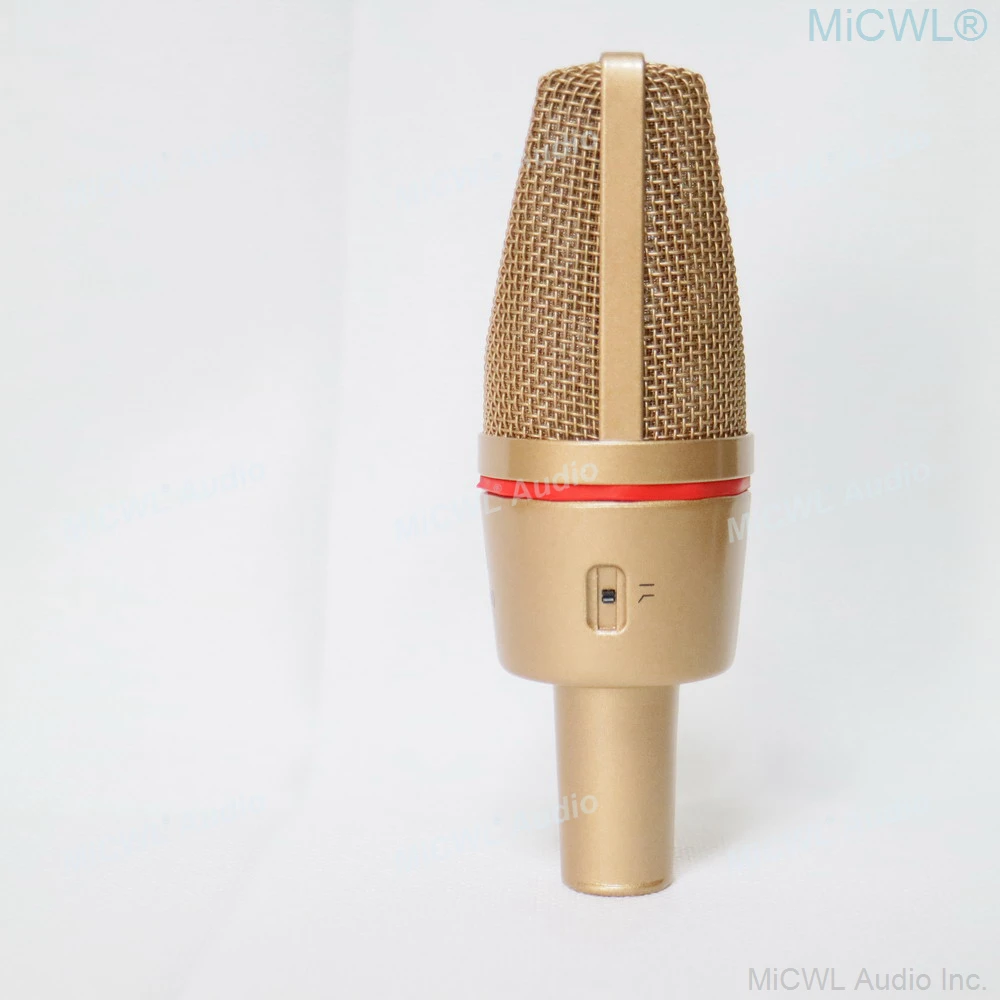 ميكروفون مكثف كبير للحجاب الحاجز C7000 48 فولت XLR للمرحلة استوديو تسجيل مباشر مع صدمة جبل الطيران