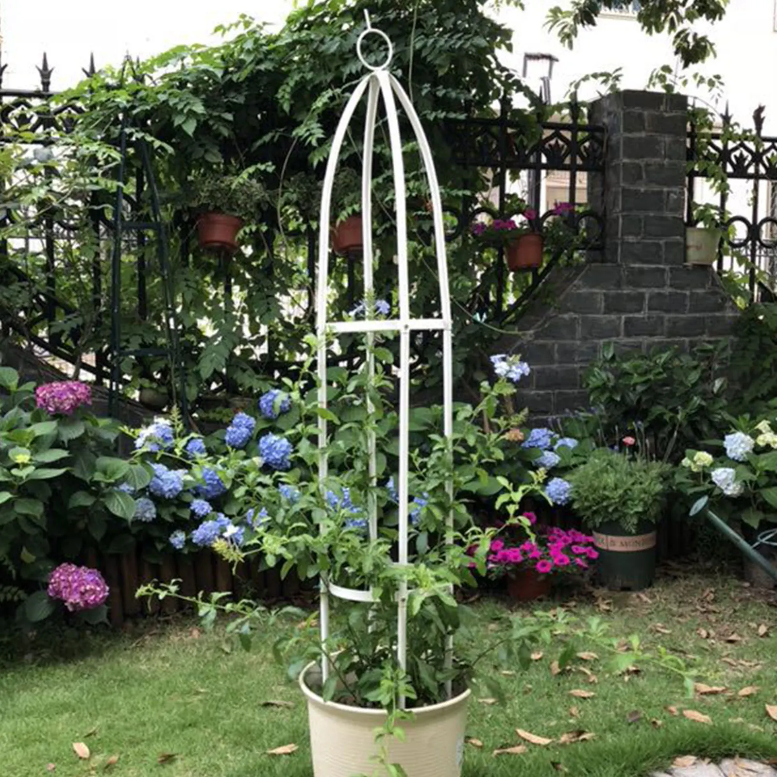 

Clematis Rose Plant Holder Gardening Tools Pergola Column Climbing Frame Iron 23*142CM Cylindrical Bracket Flower Stand