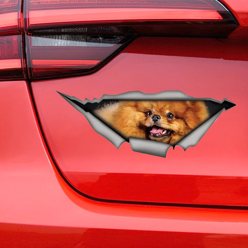 Pomeranian Dog Funny 3D Self-adhesive Decal Car Sticker Waterproof Auto Decors on Bumper Rear Window Laptop Choose Size #S60484