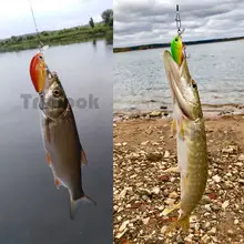 Mini Crankbait Fishing Lures Set #5