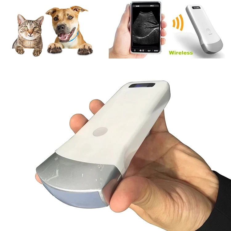 VET wireless ultrasound convex array probe Uprobe Pig Sheep cat dog pregancy test