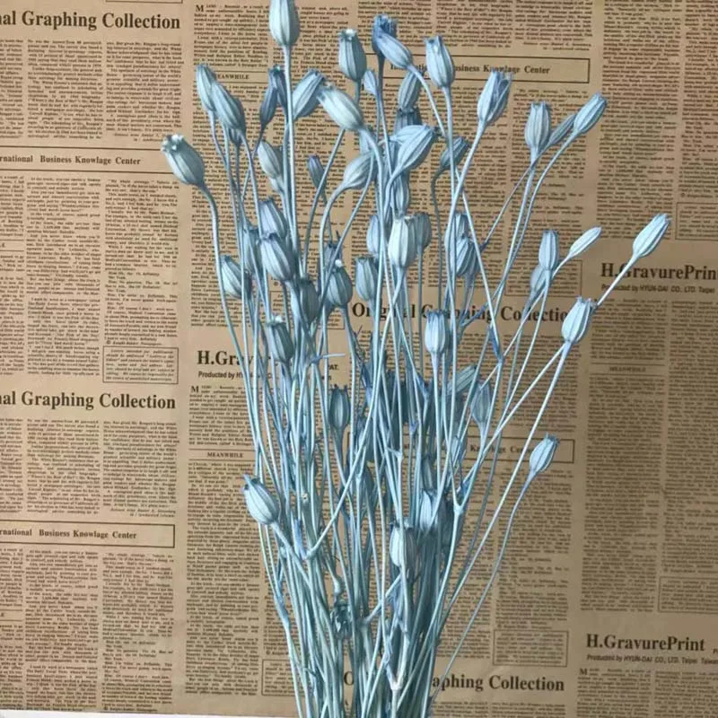 18g/Length15-35CM,Dried Fengling Grass,Natural Bell Flower Campanula Bouquet, Dry Flowers Eternelle Bluebell DIY For Home Decor