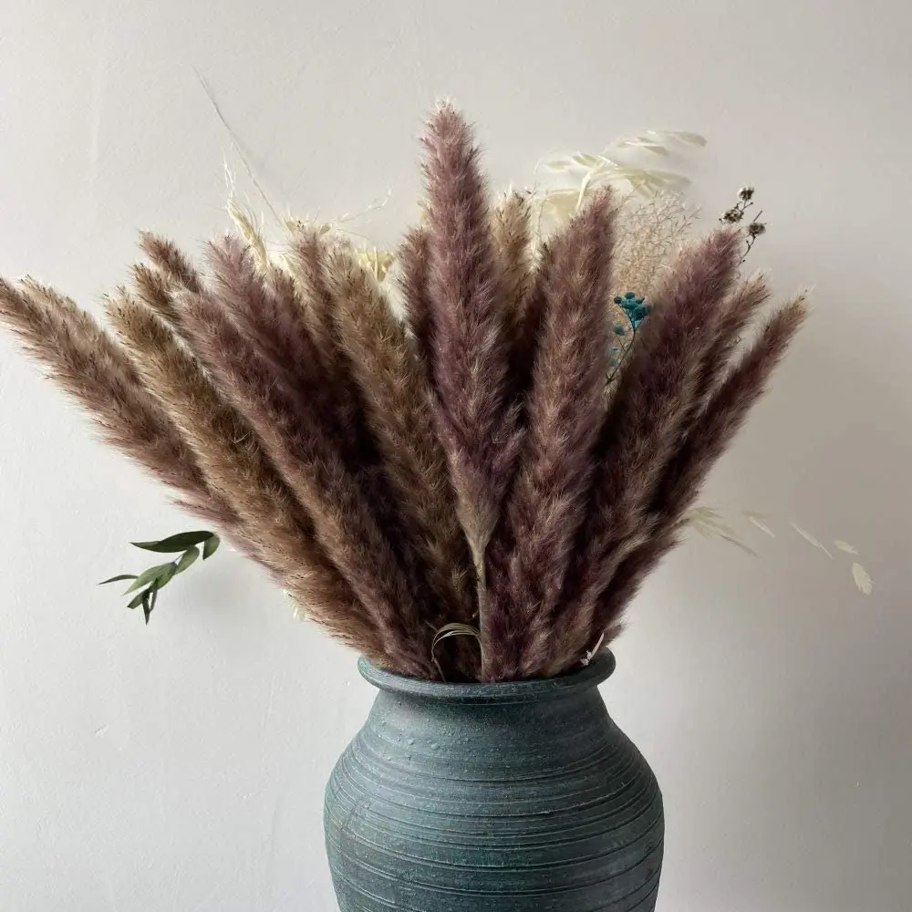 

Natural Reeds Dried Flowers Pampas Grass Artificial Plants Phragmites Communis Wedding Decoration Trawa Pampasowa Dekoration