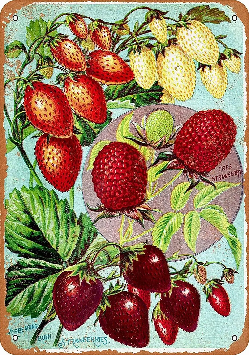 

HAIMAX Metal Signs Vintage Retro 8x12 Sign 1902 Tree and Bush Strawberries Berries Funny Fruits Vegetables Food Sweet