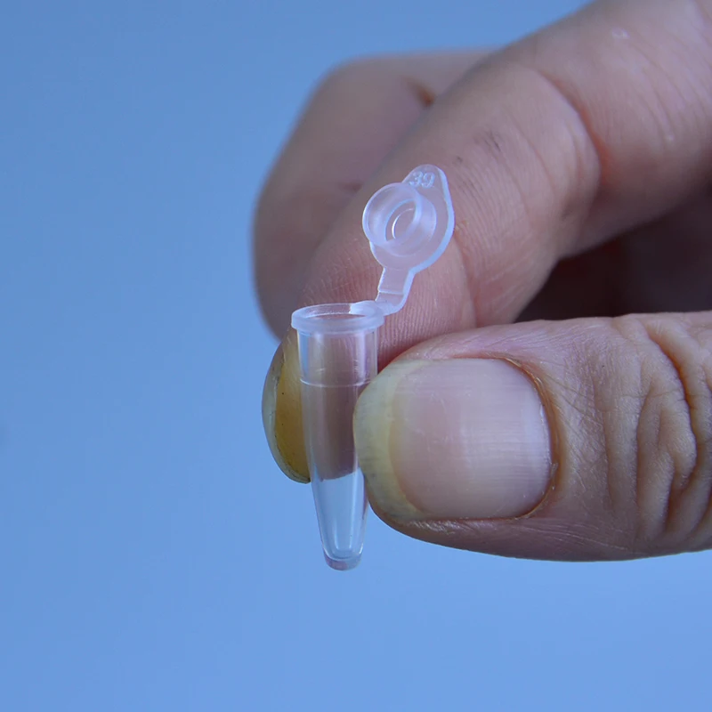 Micro 0,2 Ml Zentrifuge Rohr 50 stücke Test Rohre Transparente Kunststoff Rohr Container Wissenschaft Labor Test Zubehör Deckel
