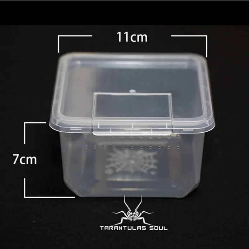 33/10/7PC of reptile feeding box spider larva transparent plastic feeding box insect breeding container to prevent prison break