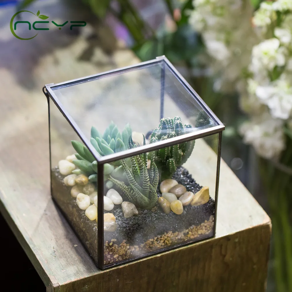 NCYP Modern Glass Flower Pot with Cover Handmade Square Glass Geometric Terrarium Tabletop Succulents Fern Moss Plants Flowerpot