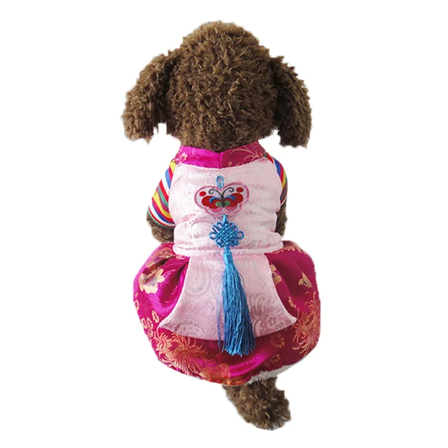 Princess Dress with Embroidery for Small Dogs and Cats, Pet Clothing, Warm Skirt, Classic Clothes, Winter, Pink