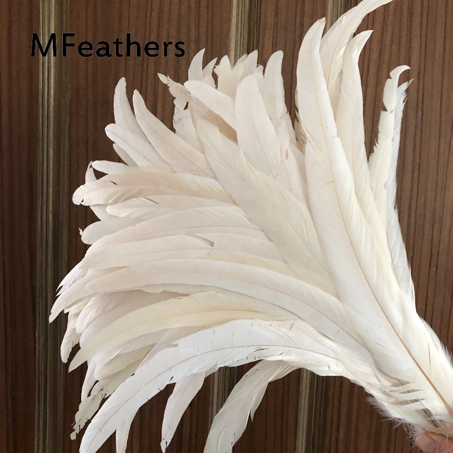 Wholesale 100PCS Raw White / Off White перья для рукоделия Rooster Chicken Feathers Length 25-30CM Cock-Tails Plumes Decorations