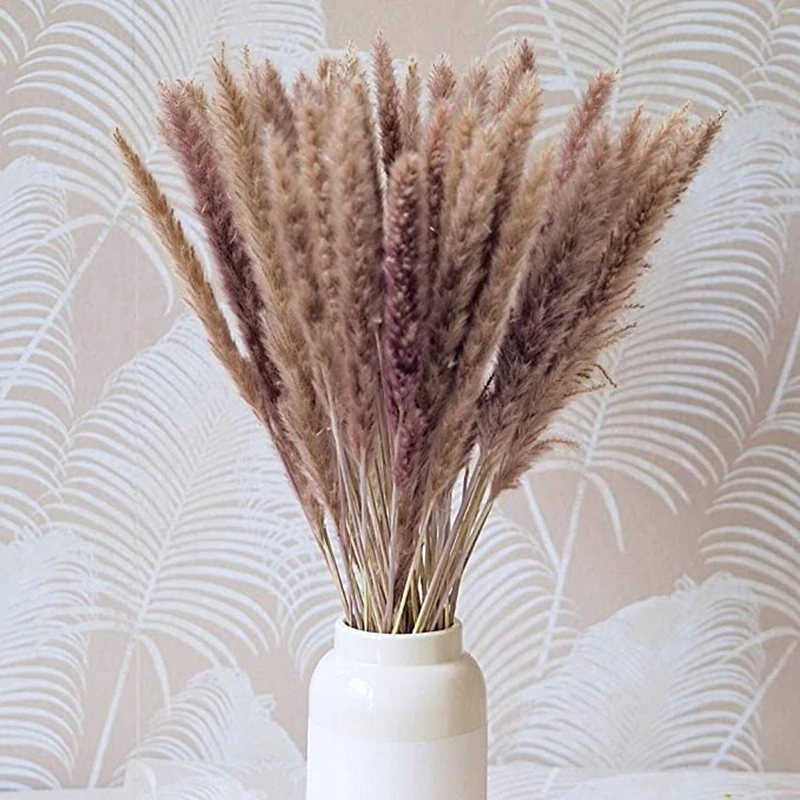 

Decoracion Pampas Grass White Boho Dried Small Reed Home Decor Wedding Decoration Flores Artificiales Dekoration Valentine's Da