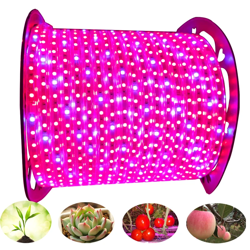 

100M 50M LED Plant Grow lights Strip Full Spectrum IP67 Waterproof AC220V For Greenhouse Hydroponic Seed VEG Flower Phyto Lamp