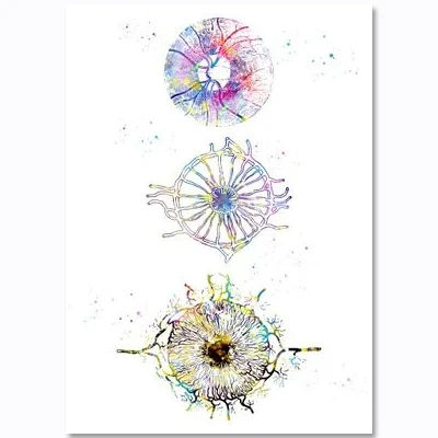 Colorful Cell Capillaries Biology Nordic Poster Chromosomes Wall Art Canvas Painting Wall Pictures For Living Room Unframed