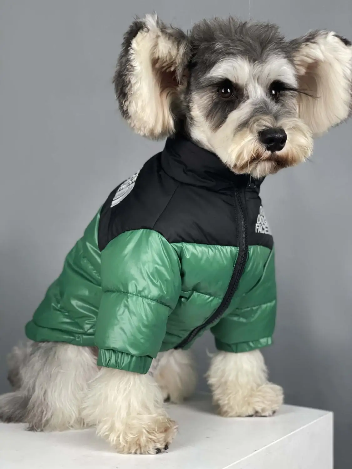 

Warm Thick Web Celebrity Teddy Schnauzer Corgi Matching Pet Down Jacket Hot Winter Clothing For Dog Cat Clothes Puppy Pug Jacket