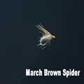 March Brown Spider