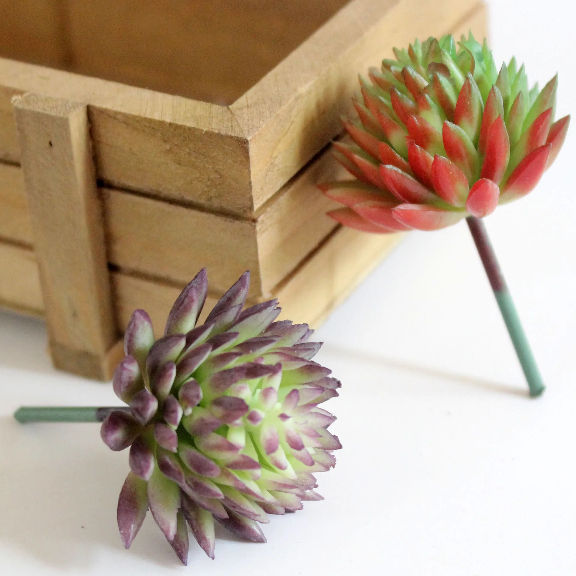 Sztuczne sukulenty uciekające  – Succulent Arrangement Mini recenzja i cena