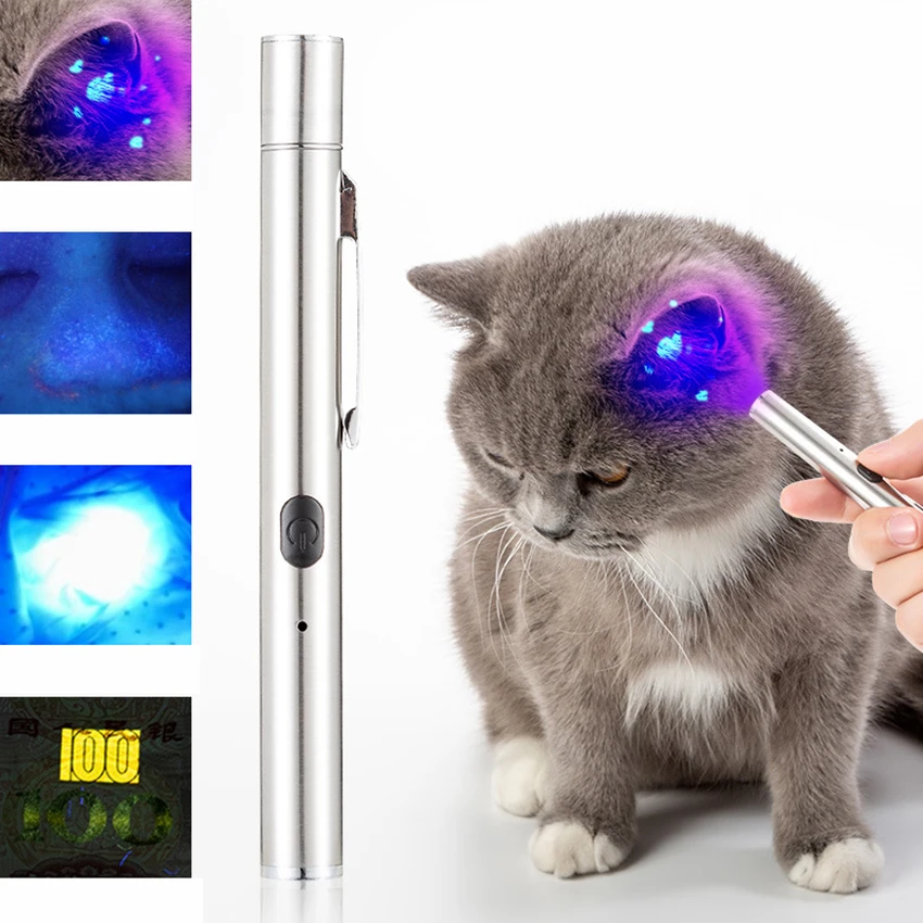 Torce Blacklight torcia portatile 365nm Led Mini torcia portatile rilevatore di luce nera per urina di cane, macchie di animali domestici