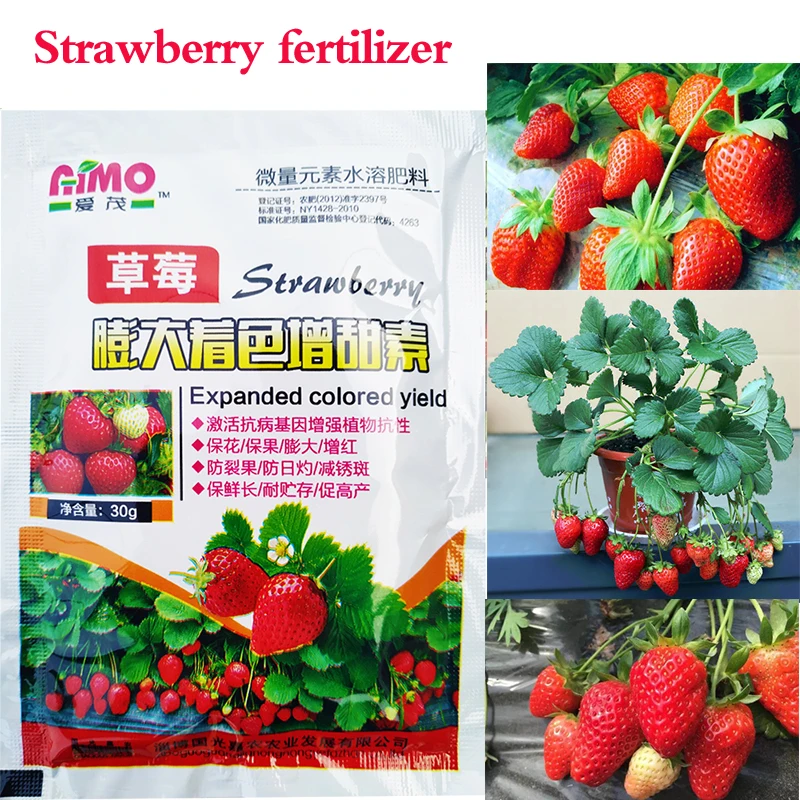 Fertilizante especial de morango, nutrição vegetal, hidroponia Expandido Fruit Rapid Rooting para Home Garden, Bonsai