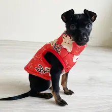 Winter Warm Dog Clothes for Small Dogs #4