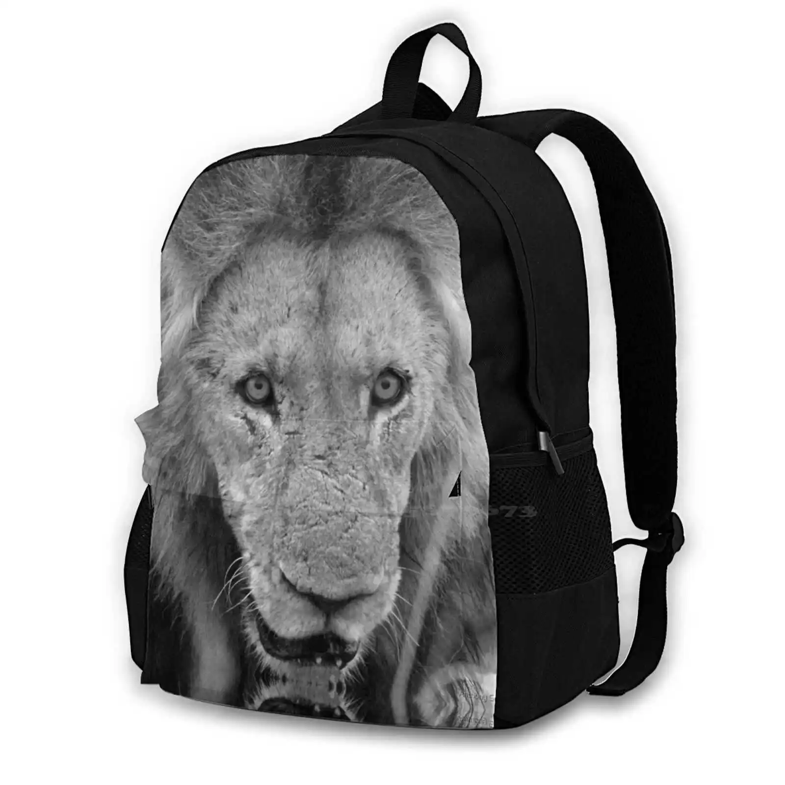 Dont Come Closer Its Our Food! Pattern Design Bagpack School Bags Big Cat Lion Mapogo Makulu Kill Wild Africa