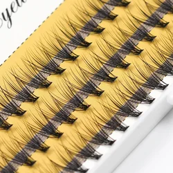 Grafting World 20D Individual Eyelash 0.07 and 0.1 Russia Cilia 60 Pcs Personal Make Up Eyelash Clusters