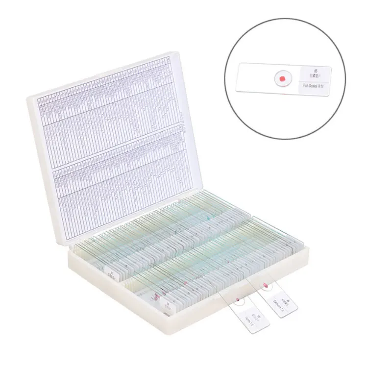 200pcs Microscope Slides Plant Animal Insect Specimen Glass Prepared Basic Science Laboratory Specimen for Student Children